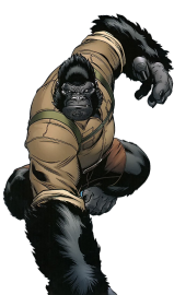 Gorilla Man