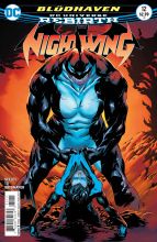 Nightwing #12