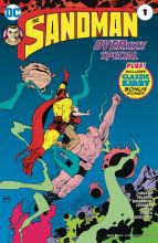 The Sandman Special #1